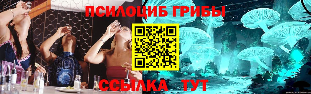 Галлюциногенные грибы прущие грибы Советск