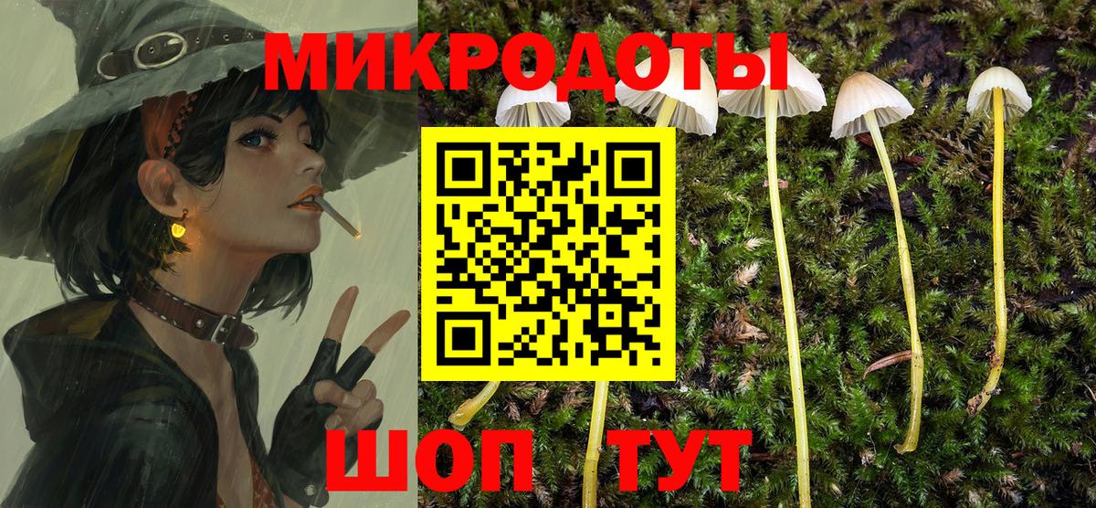 Советск  Псилоцибиновые грибы Magic Shrooms  Вход с VPN 
